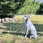 The Bed & Breakfast San Maurizio D'opaglio