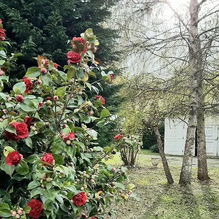 The 4* San Maurizio D'opaglio