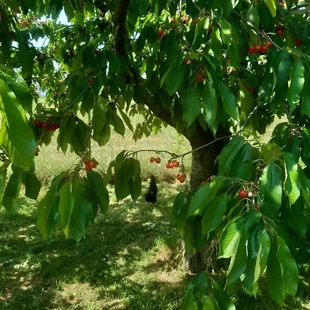 The Bed & Breakfast 4*