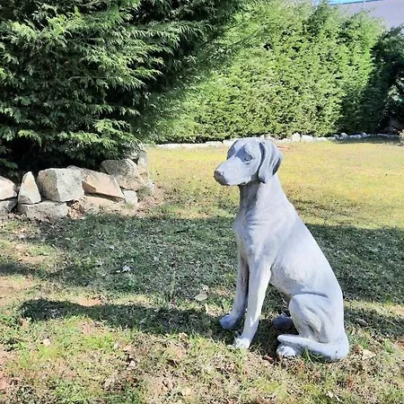 The Bed & Breakfast San Maurizio D'opaglio